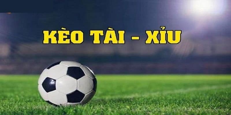 Cá cược tài xỉu bóng đá